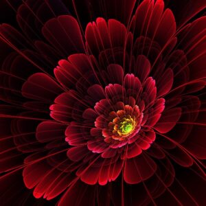 Red Floral