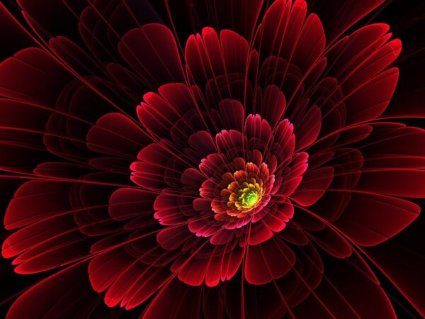 Red Floral