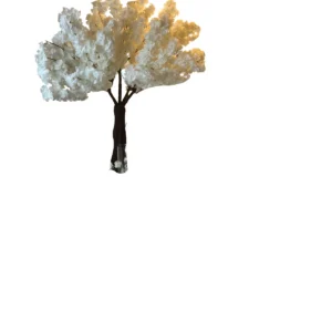 White Orange Blossom
