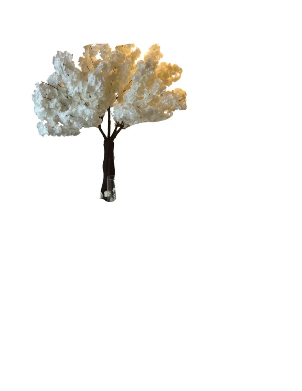 White Orange Blossom