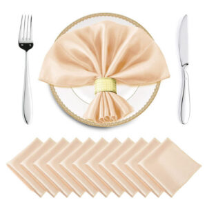 Peach Napkins 20 X 20